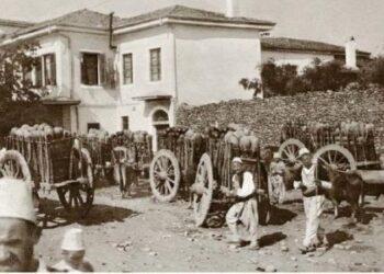 Shqipëria e vitit 1842 sipas kontit hungarez Karaxhaji