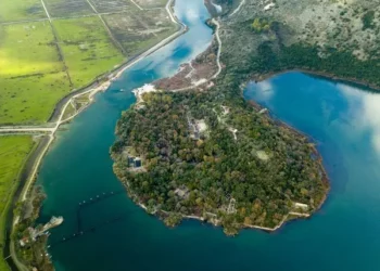 Pylli i Butrintit me rëndësi ekonomike qysh në mesjetë