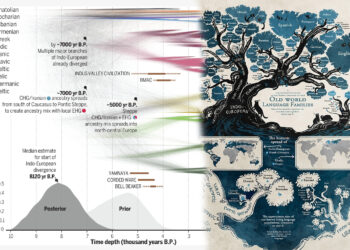 Revista prestigjoze: Gjuha shqipe, 6 mijë vjet e vjetër dhe autoktone në këto troje