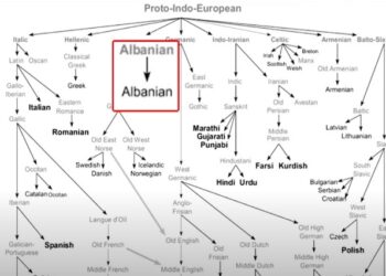Shqipja mbi 6 000 vjet e vjetër, klasifikimi ndërkombëtar ende i pakonfirmuar nga shkenca shqiptare