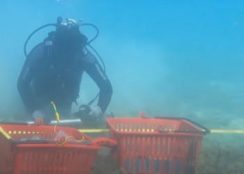 “Një thesar të vërtetë”, arkeologët zbulojnë detaje nga gërmimet e tyre në Lin të Pogradecit