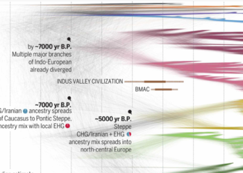 Gjuha shqipe 3.850 vjet ma e vjetër se të gjitha gjuhët sllave, sipas studimit filogjenetik
