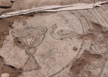 Struktura e kishës dardane më të madhe në Ballkan me absidë të veçantë e mozaik shumëngjyrësh