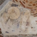 Restaurohen muralet në Kishën e Shën Ndout në Kepin e Rodonit