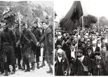 Reagimi i historianit të njohur për ditën e çlirimit të Shqipërisë: Si mashtroi Ministria e Mbrojtjes me dokumentin e dhuruar nga ish-këshilltari