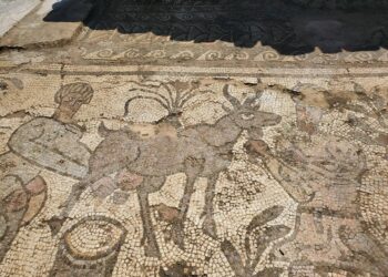 Mozaikët e Bazilikës B në Bylis, aty ku historia është qendisur me gurë