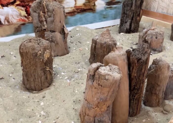 Në muzeun e Pogradecit, qindra vizitorë të interesuar për palafitet e Linit