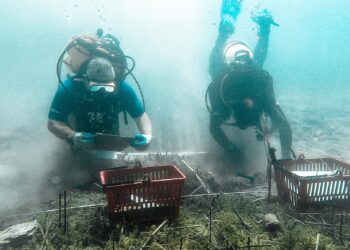Si u zbulua vendbanimi 8000-vjeçar në Lin!