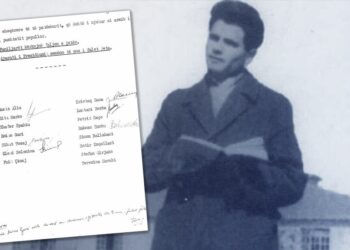 Lutja e nënës së Havzi Nelës: Mos ma varni djalin!