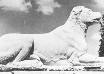 Molosët e Epirit dhe trashëgimia e qenit shqiptar