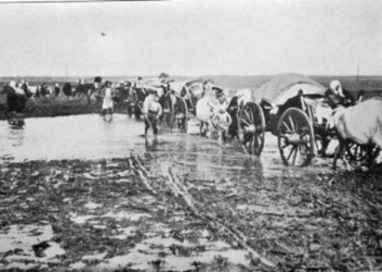 Gjenocidi i heshtur: Spastrimi etnik i shqiptarëve nga Sanxhaku i Nishit (1877–1878)