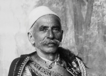 Dedë Gjo Luli në shërbim të atdheut