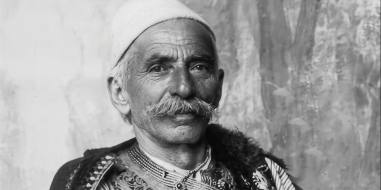 Dedë Gjo Luli në shërbim të atdheut