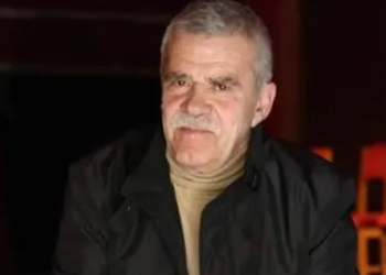 Përtej Robert Ndrenikës dhe inkuizicionit dixhital