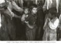 Çamëria: Historia e krimit të “harruar”, Spastrimi Etnik i 1944-ës, bashkëpunimi i Zervës me nazistët dhe heshtja akademike që vazhdon