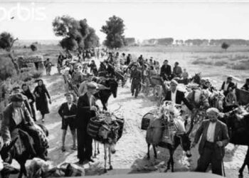 Bashkëpunimi i dokumentuar i Napoleont Zervës me nazistët dhe gjenocidi i Çamërisë